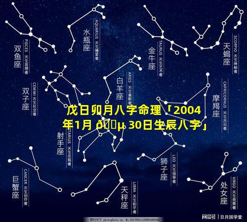 戊日卯月八字命理「2004年1月 🌵 30日生辰八字」